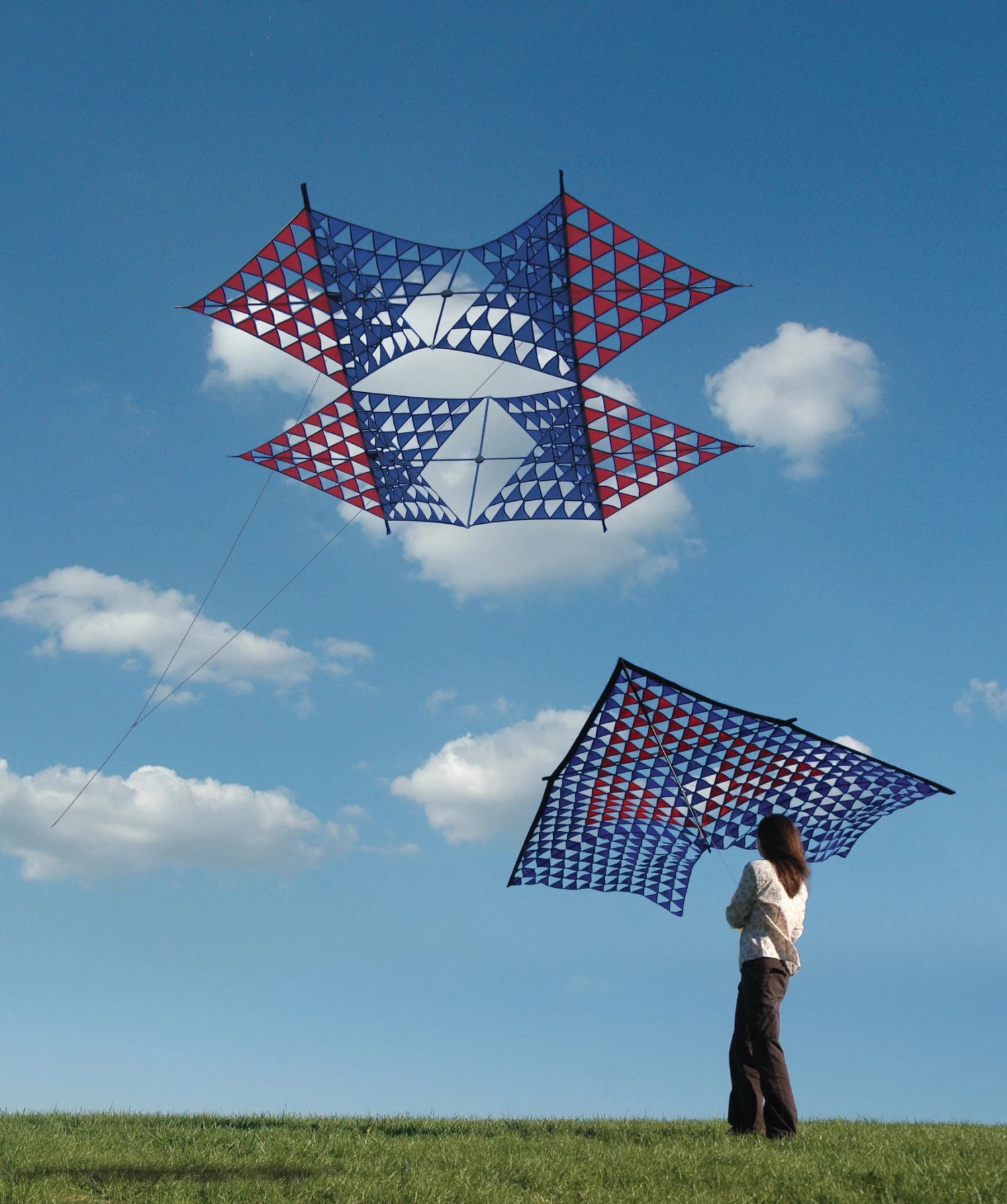 Collections Kites Tri-Mesh Delta Kite 2 Collections Kites Tri-Mesh Delta Kite
