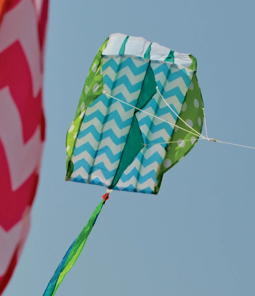 Kites Parafoil 2 Kite - Quirky Cool 3 Kites Parafoil 2 Kite - Quirky Cool