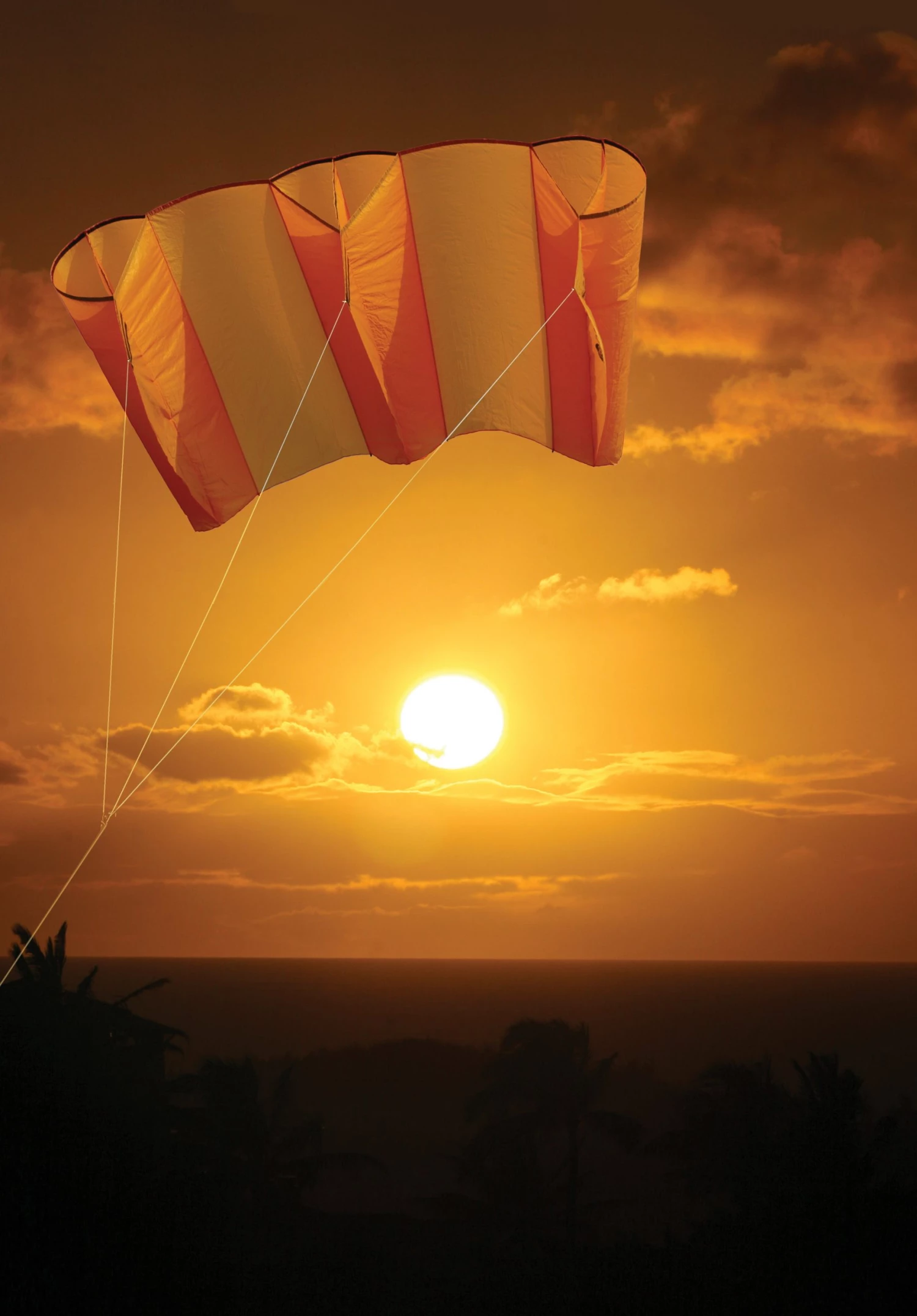 Collections Kites Jumbo Power Sled 36 Kite - Mango 2 Collections Kites Jumbo Power Sled 36 Kite - Mango