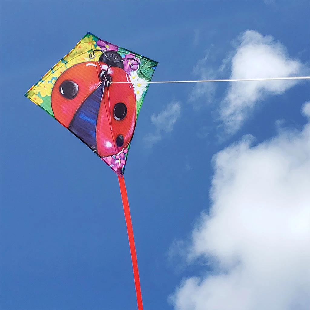 Kites Premier Kites 25 In. Diamond Kite - Ladybug 2 Kites Premier Kites 25 In. Diamond Kite - Ladybug