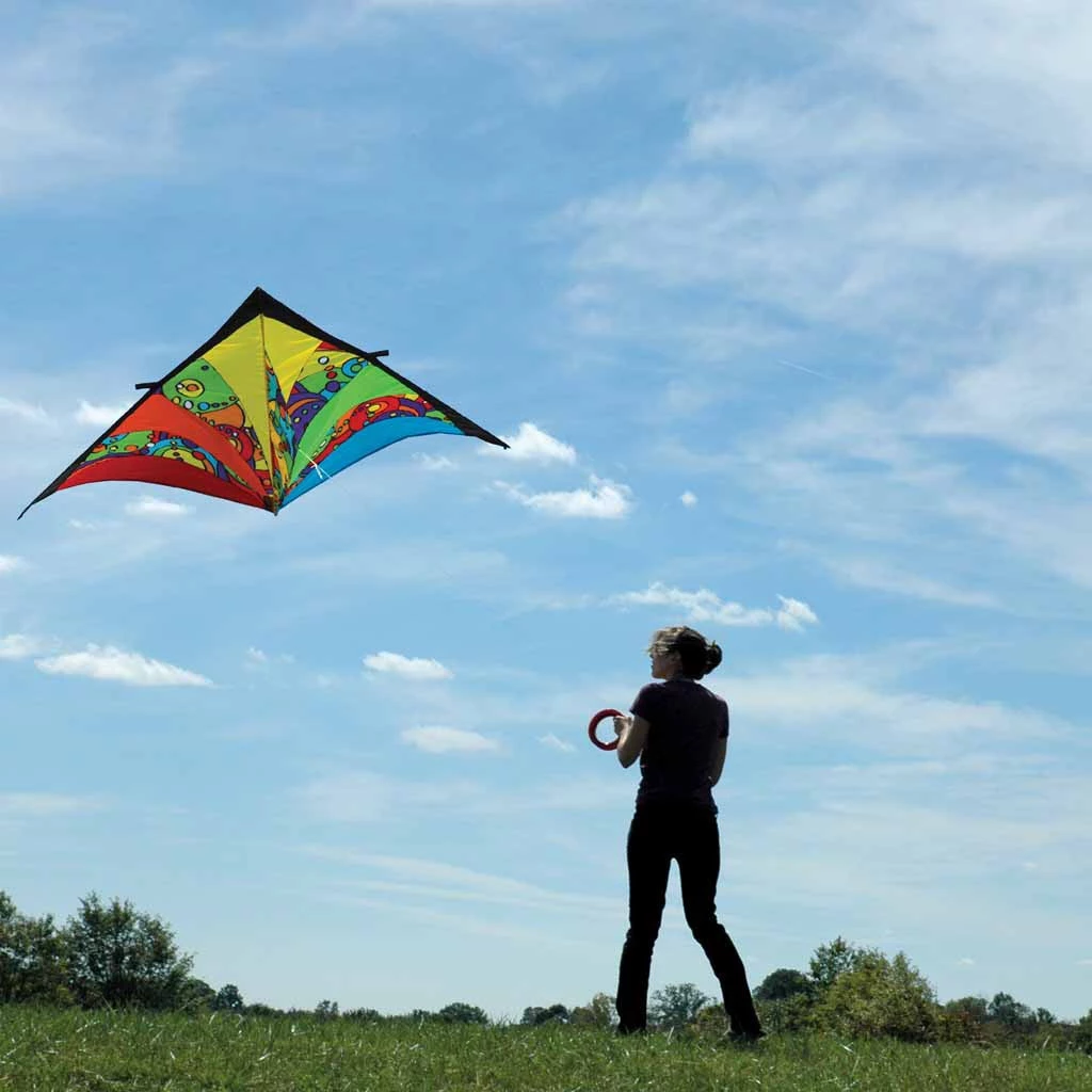 Kites 9 Ft. Delta Kite - Rainbow Orbit Premier Kites 3 Kites 9 Ft. Delta Kite - Rainbow Orbit Premier Kites