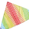 Kites 6.5 Ft. Delta Kite - Pattern Rainbow Premier Kites