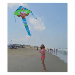 Kites Premier Kites Large Easy Flyer Kite - Wade Duck 5 Kites Premier Kites Large Easy Flyer Kite - Wade Duck