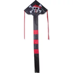 Kites Regular Easy Flyer Kite - Pirate