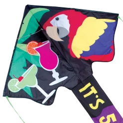 Kites Premier Kites Jumbo Easy Flyer Kite - 5 O' Clock
