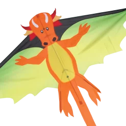 Kites Flying Dragon Kite