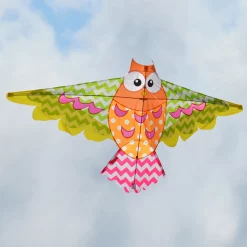 Kites Premier Kites Rainbow Owl Kite