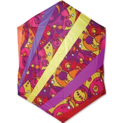 Collections Kites Collections Rokkaku Kite - Warm Orbit Rays