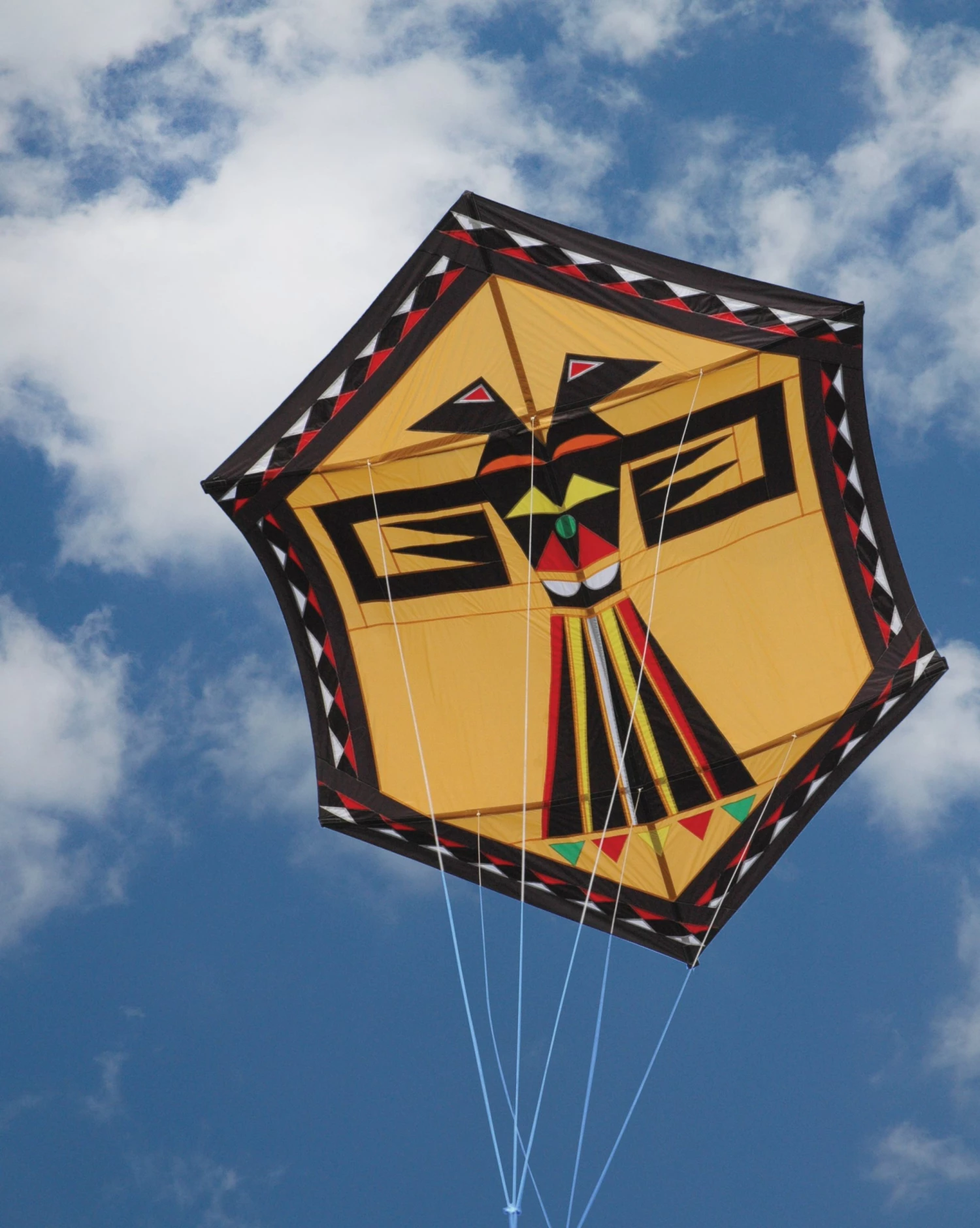 Collections Kites Eagle Of Paradox Kite - Golden 2 Collections Kites Eagle Of Paradox Kite - Golden