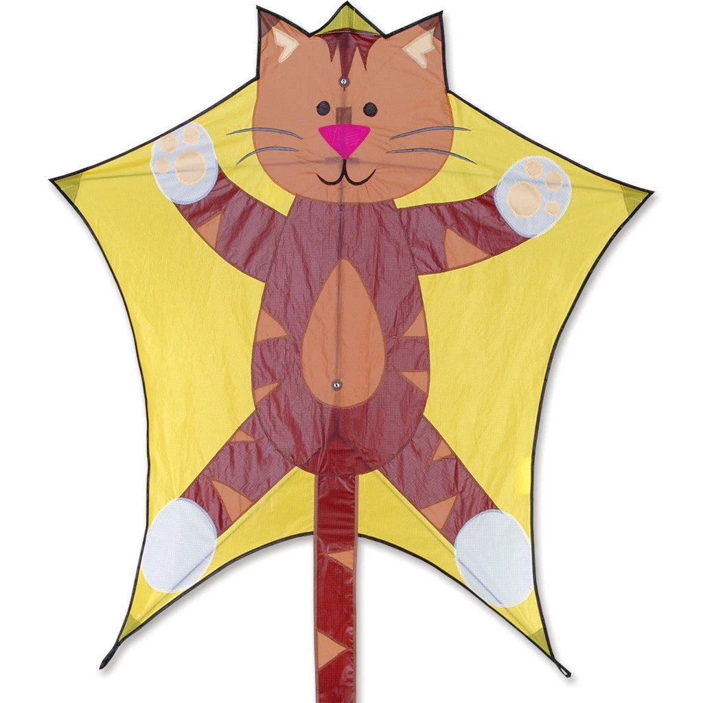 Kites Penta Kite - Tabby Premier Kites 1 Kites Penta Kite - Tabby Premier Kites