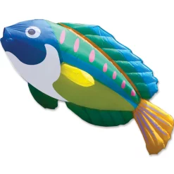 Collections Kites 8 Ft. Peacock Wrasse Kite Collections