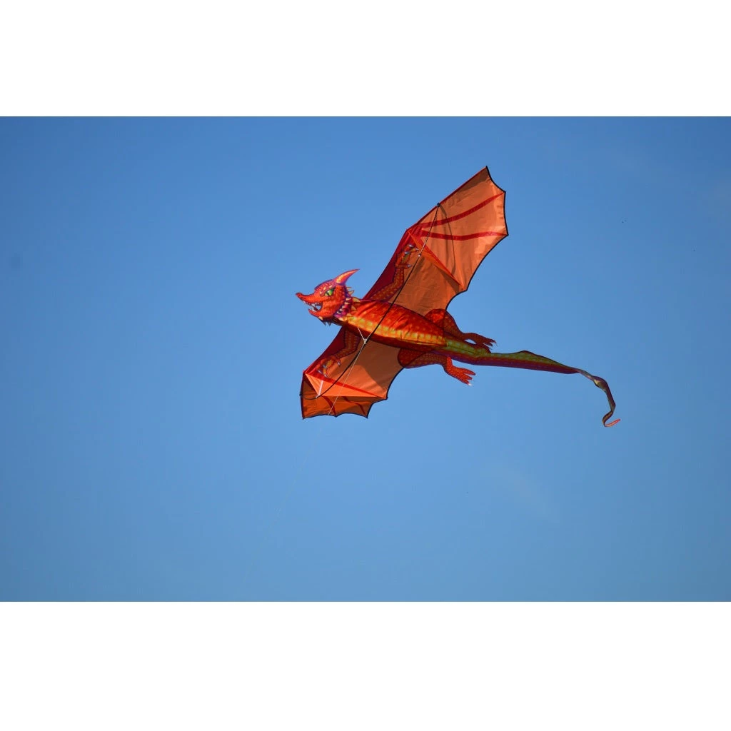 Kites Premier Kites 3D Dragon Kite - Emberscale 3 Kites Premier Kites 3D Dragon Kite - Emberscale