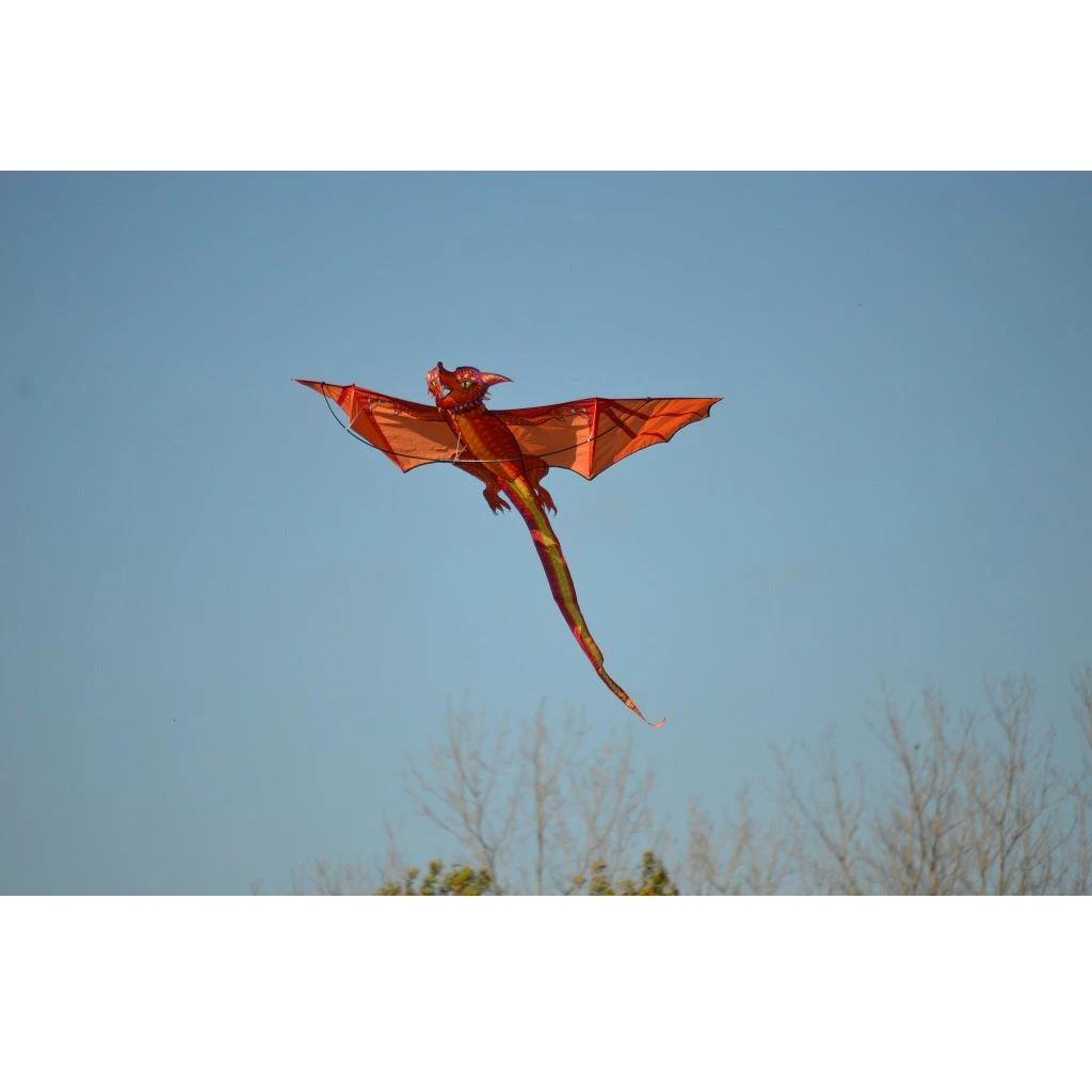 Kites Premier Kites 3D Dragon Kite - Emberscale 4 Kites Premier Kites 3D Dragon Kite - Emberscale