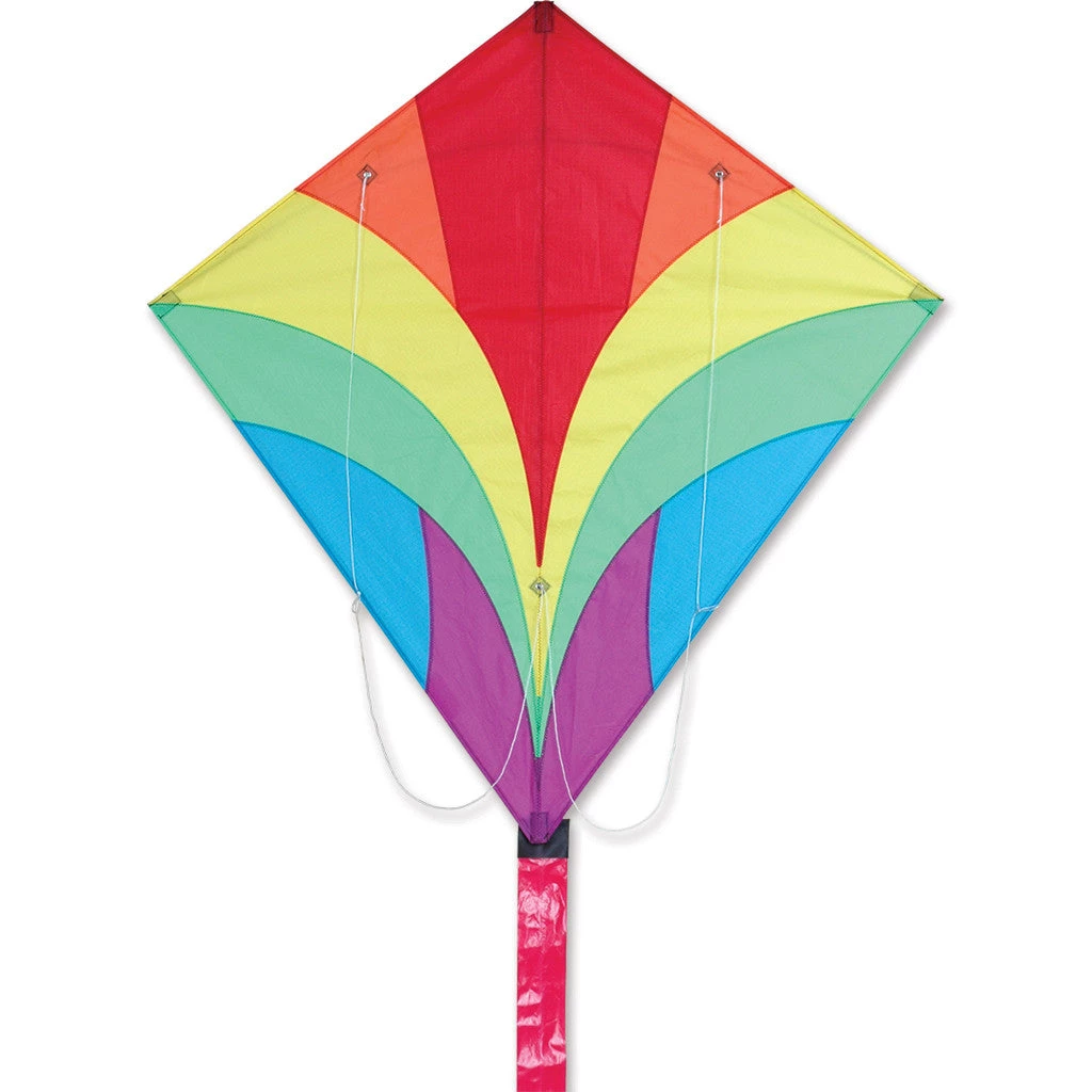 Kites Premier Kites Ace Sport Kite - Rainbow 1 Kites Premier Kites Ace Sport Kite - Rainbow