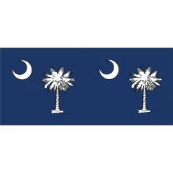 WindGarden WindGarden Windsock - South Carolina Flag