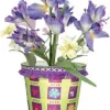 Accent Home & Garden - Sale Flower Pot Cover - Love & Kisses Accent