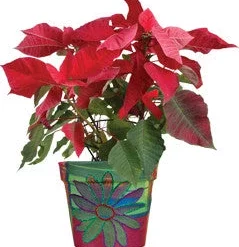 Accent Home & Garden - Sale Flower Pot Cover - Glitter Floral Accent