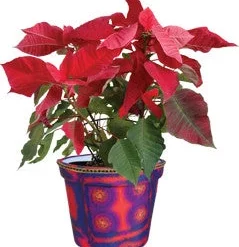 Accent Home & Garden - Sale Flower Pot Cover - Aztec Sunrise